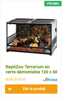 ReptiZoo Terrarium en verre démontable 120 x 60 x 45 cm